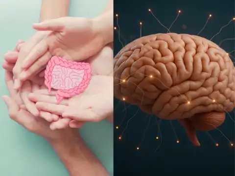 Your gut impacts your brain