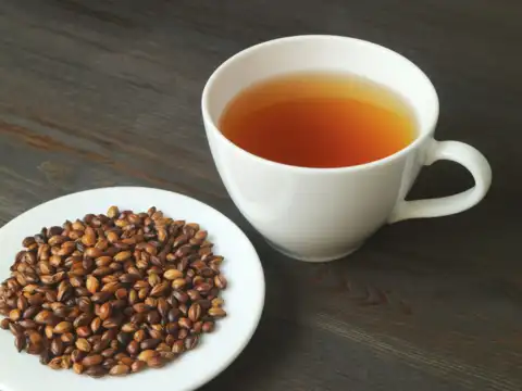 Mugicha (barley tea)
