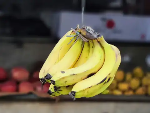 Local, Seasonal Fruits 