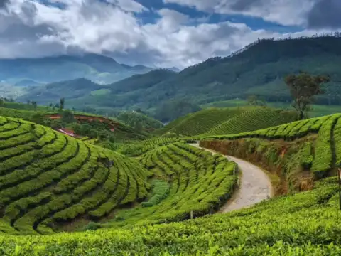 Munnar, Kerala