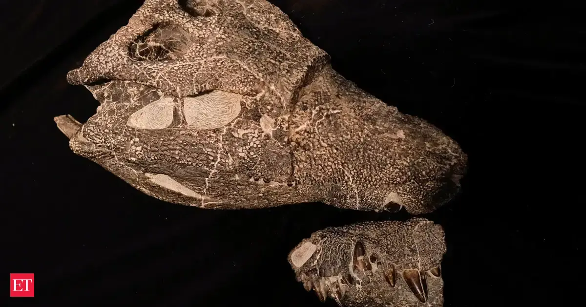 Prehistoric crocodile that hunted dinosaurs on land discovered in Argentina after 66 million years