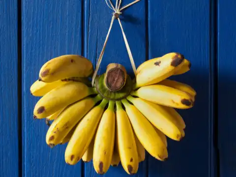 Bananas