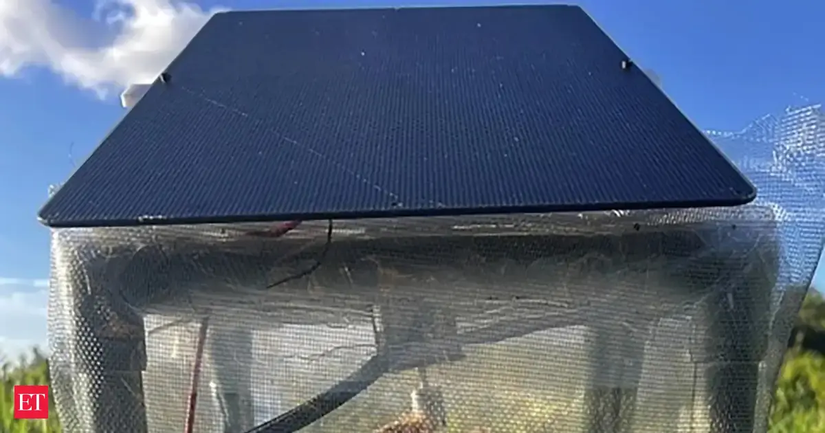 Florida deploys robotic rabbits to combat invasive pythons