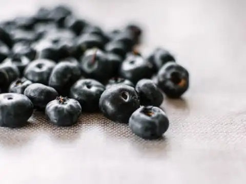 How blueberries could help