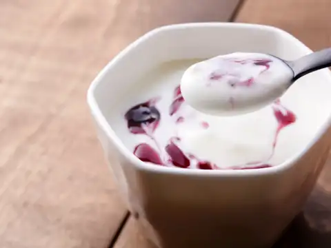 Fermented foods