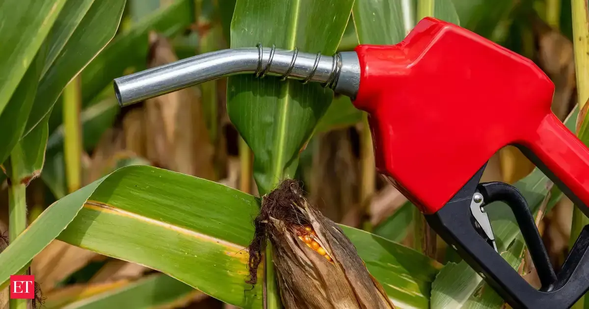 SC to hear on Sept 1 plea over sale of 20 percent ethanol blended petrol