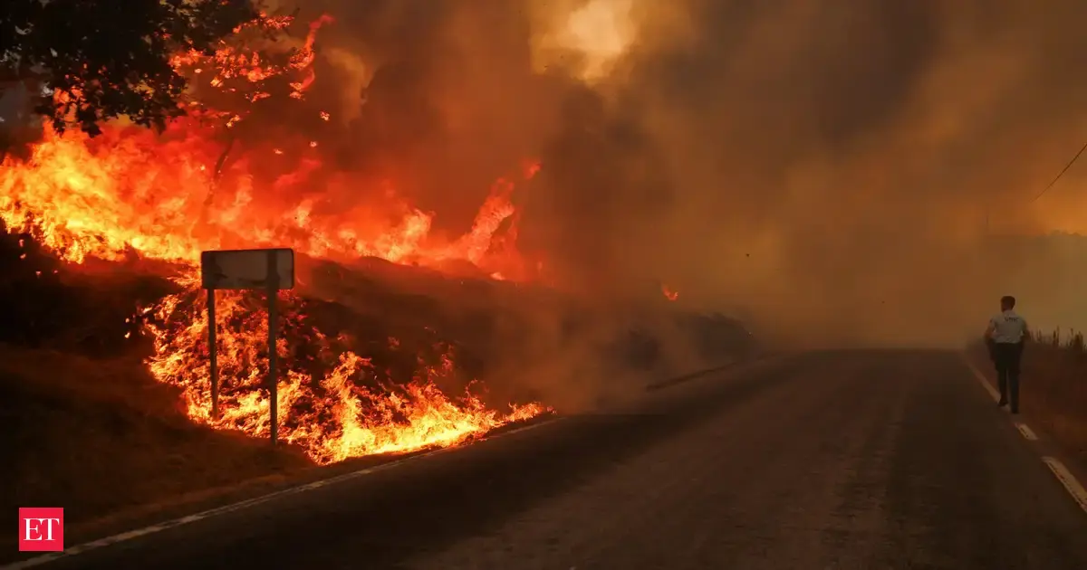Out of frustration over poor grades, 14-year-old ignites forest fires across several hectares in Portugal