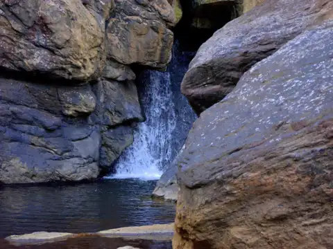 Coorg, Karnataka 