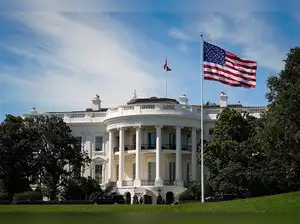 Epstein files or something else: Mystery bag, thrown from White House