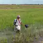 Image for 
