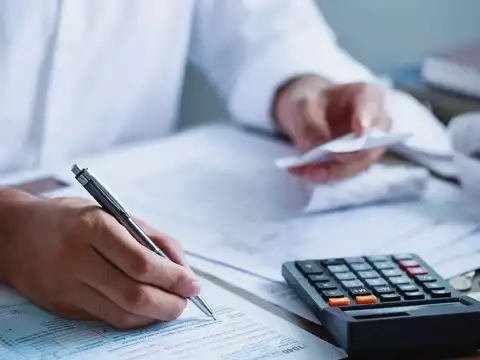 What is TIS (Taxpayer Information Summary)?