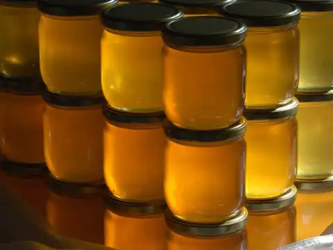 The Infusion Process 