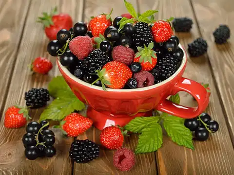 Berries &ndash; Packed with antioxidants