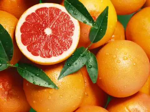  Grapefruit