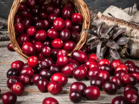 Cranberries