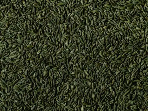Fennel Seeds (Saunf)
