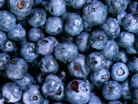 Blueberries