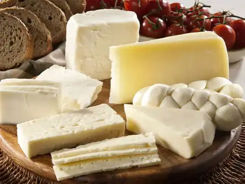 Rich in calcium & protein
