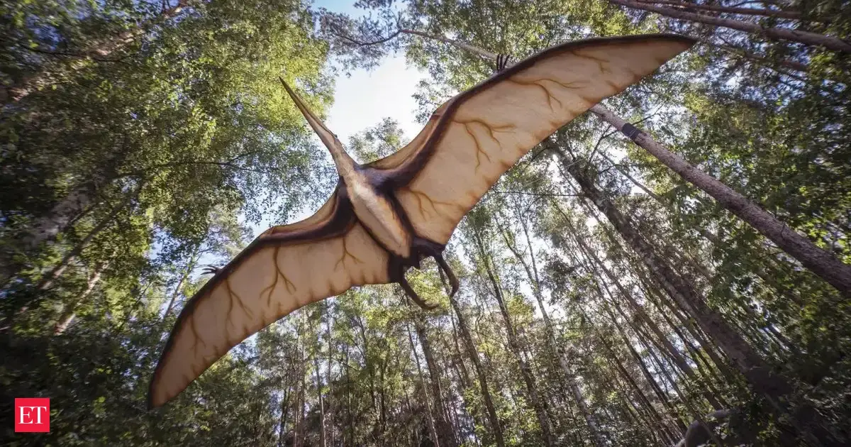 Baby pterosaur fossils with broken wings solve Solnhofen Limestone preservation mystery