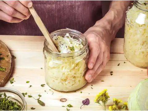 Sauerkraut & Onions (Beyond Yogurt)