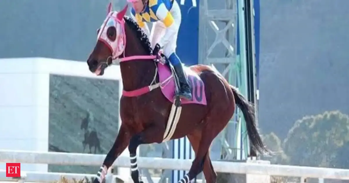 Retired Japanese racehorse Haru Urara that inspired the 'Umamusume' character dies at 29