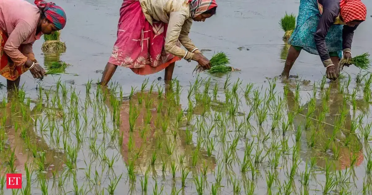 NCEL, APEDA ink pact to boost cooperative-led agricultural exports