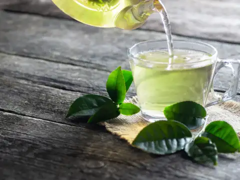 Green Tea and Exercise Synergy