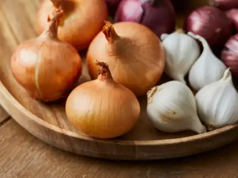  Garlic & Onions: Natural Defenders