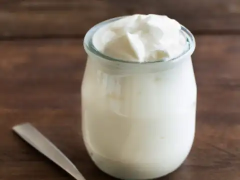  Fermented Foods