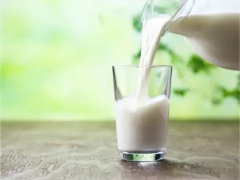 The Role of Saturated Fat
