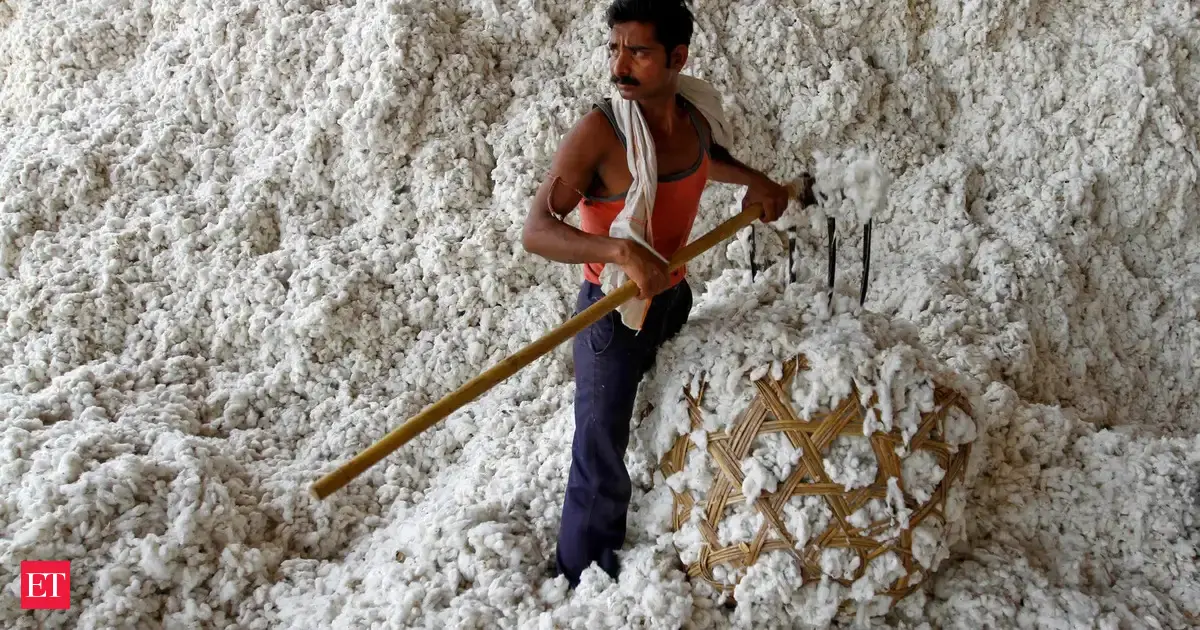 CAI estimates cotton output at 312.40 lakh bales in 2024-25 season