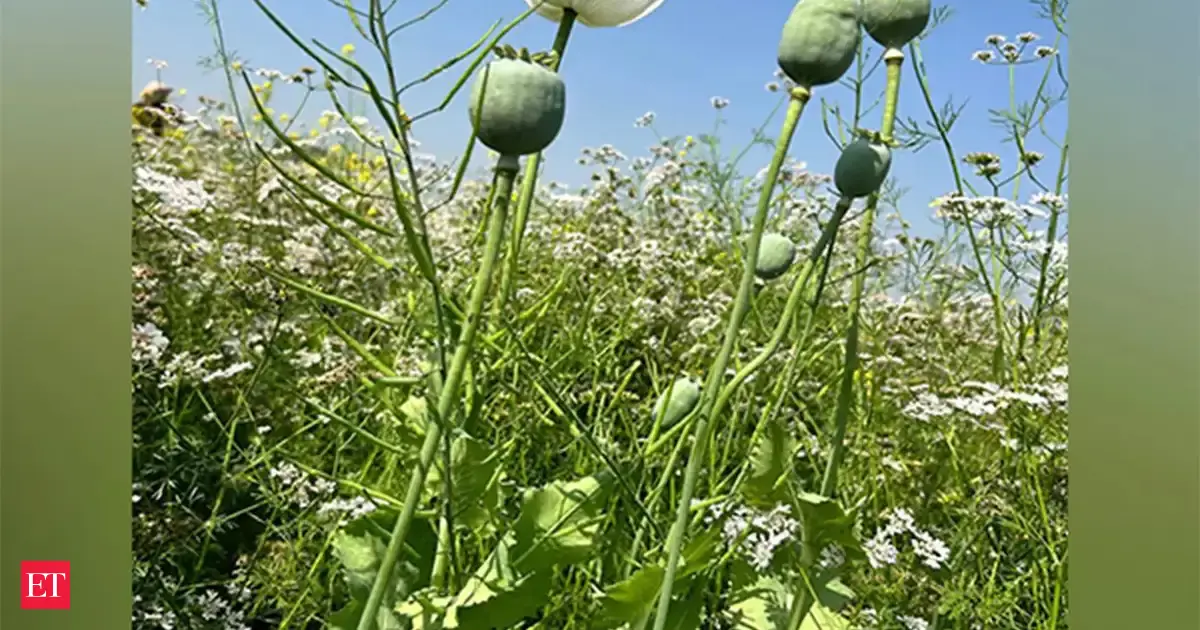 Economic Times - Other - News Image