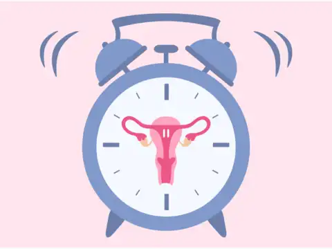 Supports Hormone Shifts Post-Menopause