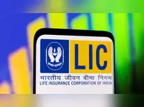 LIC-backed Paisalo Digital in focus as promoter raises 0.5% stake in smallcap