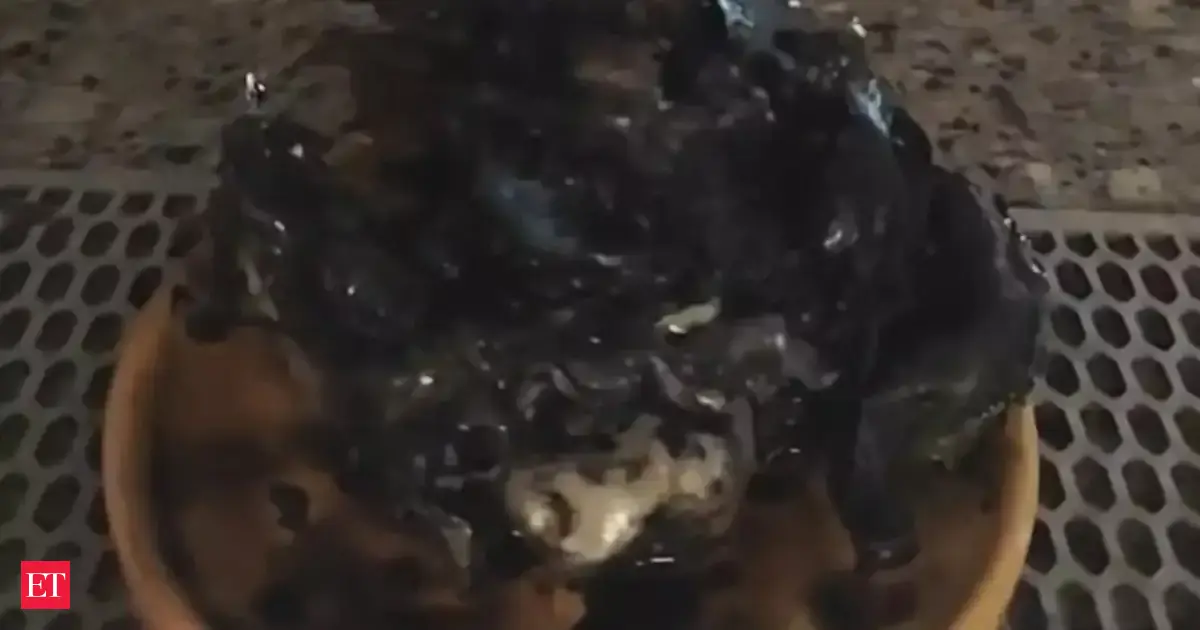 Viral TikTok video from Panama shows alleged meteorite with ‘Alien Life’ – Discovery or Hoax?