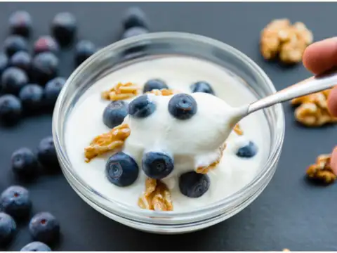 Yogurt