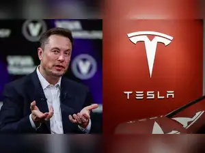 Tesla share price surge as Musk buys TSLA shares: Tesla stock today ...