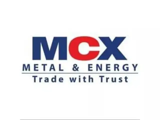 Multi Commodity Exchange of India (MCX)
