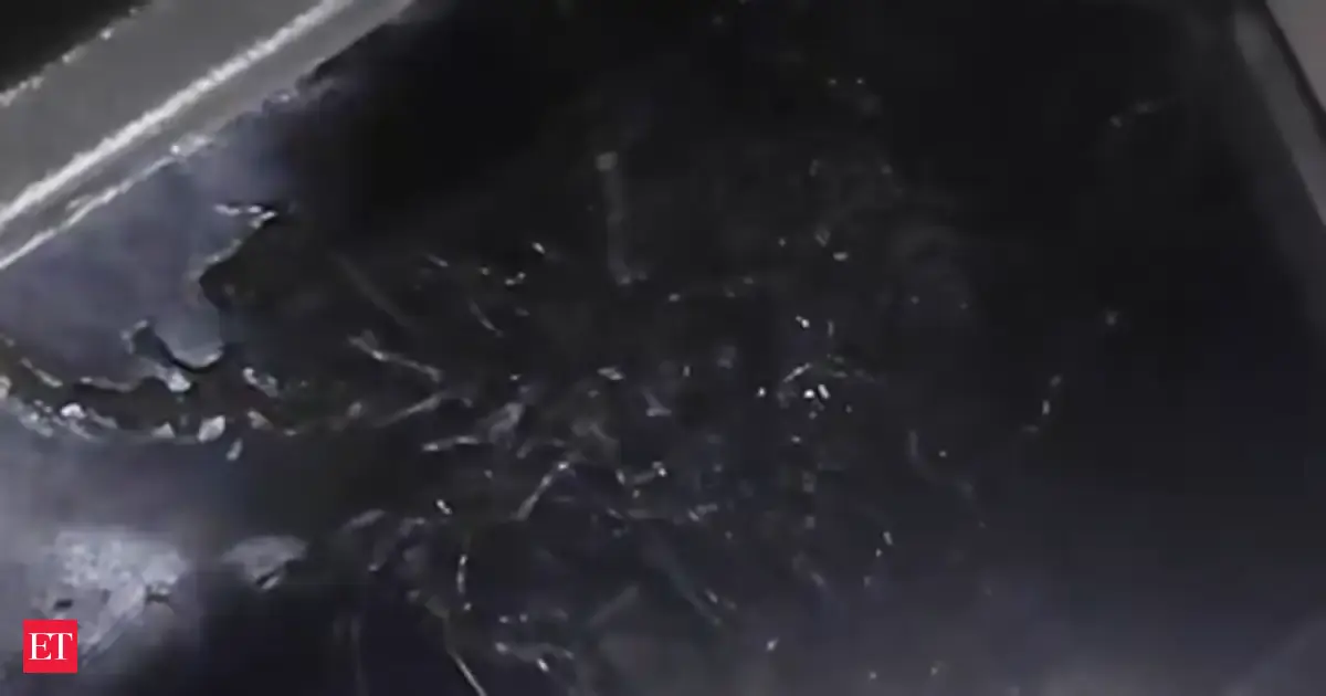 Alien in Panama? Man claims meteorite ‘transformed’ into sticky, smelly creature like Marvel's Venom