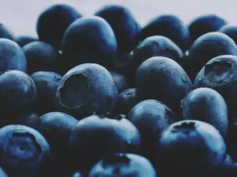 They support healthy gut bacteria
