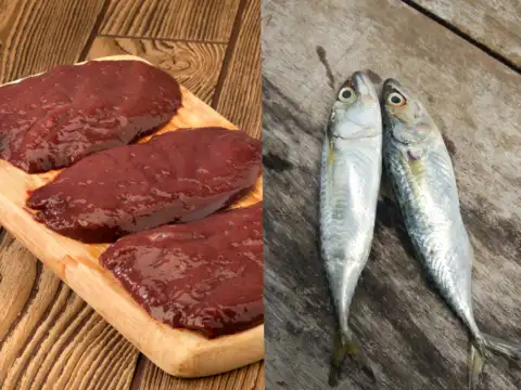 Liver and Mackerel
