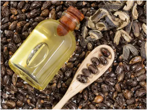 Castor oil stimulates growth