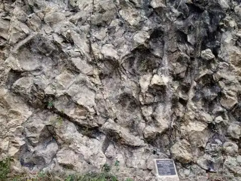 Naga Hill Ophiolite, Nagaland