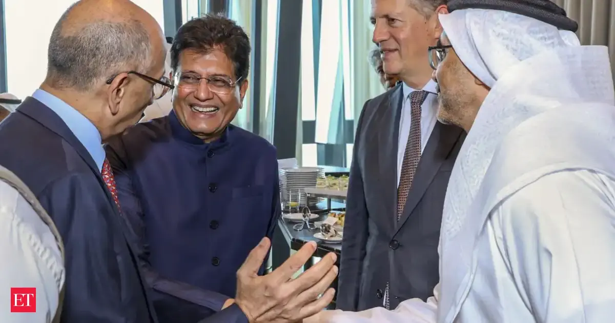 UAE firms keen to invest in Indian infra, banking, startups, logistics sectors: Goyal
