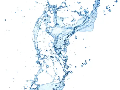 The Water: The Source of Life