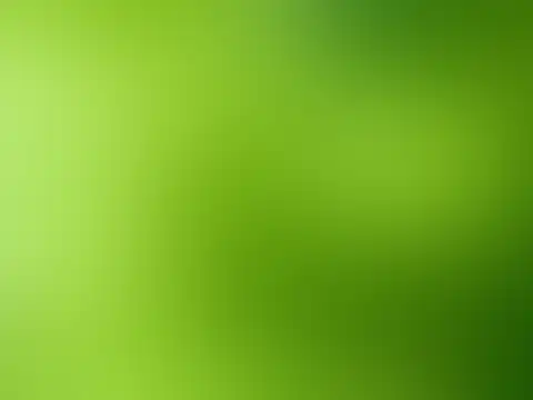 Navratri Day 5: Green