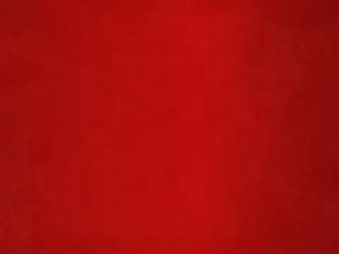 Navratri Day 2: Red 