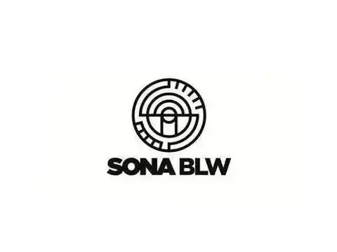 Sona BLW Precision Forgings has slipped 45%, with the stock at Rs 421, down from Rs 768