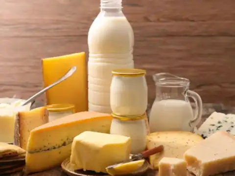 Proteins & Dairy Combinations