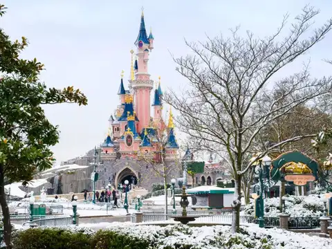 Disneyland & DisneySea